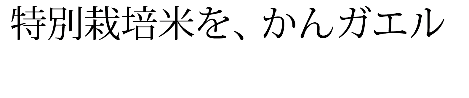 特別栽培米とは 能登産コシヒカリのグリーンアース杉浦
