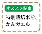 特別栽培米について